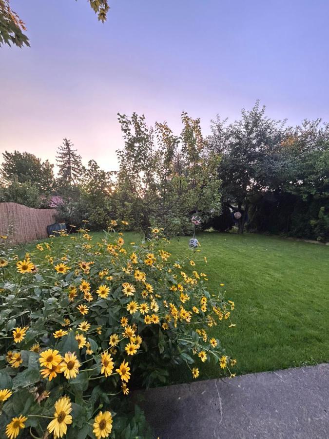 Kisvirag Vendeghaz Villa Balatonvilagos Luaran gambar