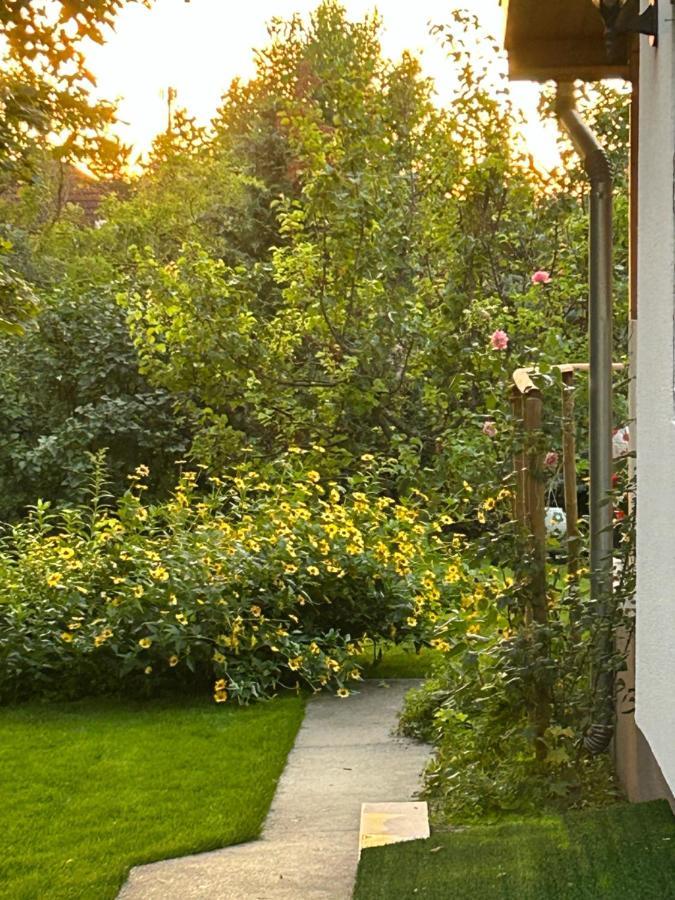 Kisvirag Vendeghaz Villa Balatonvilagos Luaran gambar