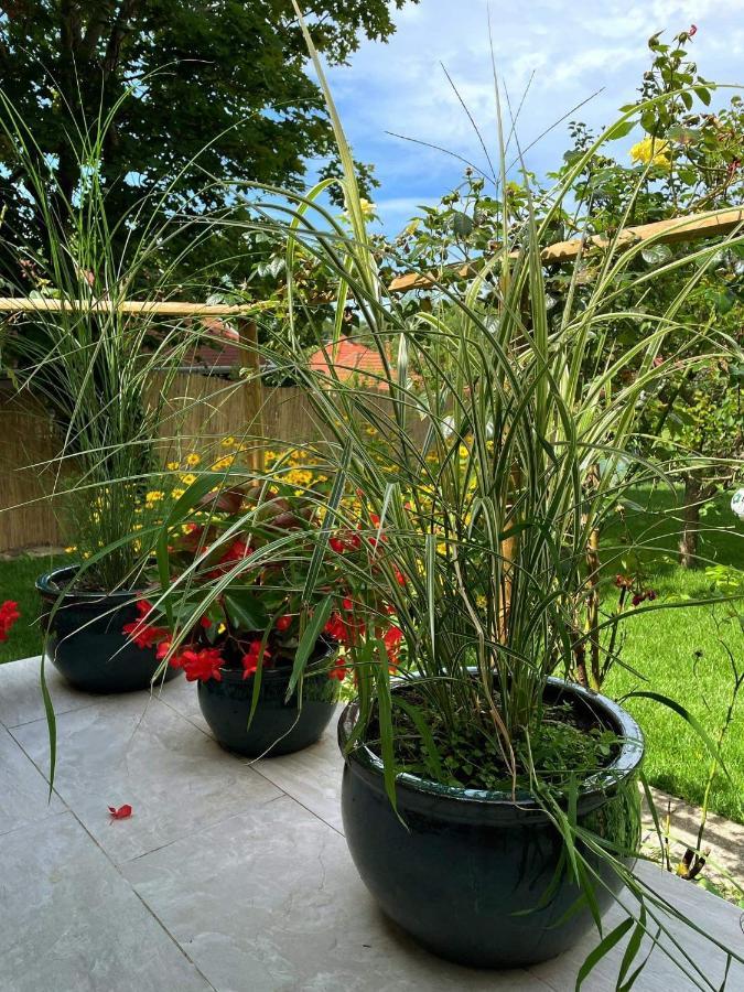 Kisvirag Vendeghaz Villa Balatonvilagos Luaran gambar